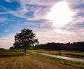 Bild: Steff Knorr
Viel Sonne und sommerliche Temperaturen bringt das Wochenende.