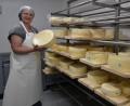Bild: as
Michaela Weigl prüft einen Käselaib aus eigener Produktion im Reiferaum in Tirschenreuth. Die Bäuerin vom Walerhof in Pilmersreuth an der Straße gehört zu den fünf Gesellschafterfamilien, die sich zur Grenzlandkäserei zusammengeschlossen haben.