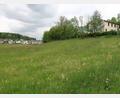 Bild: bsc
Ein Ausblick über Friedenfels und in den Steinwald würde nach dem Rückbau des ehemaligen Jugendtreffs „Exile“ (im Bild rechts oben) vom neuen Dorfplatz aus, der hier entstehen soll, möglich sein.