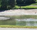 Bild: gz
Auch wenn der Naturbadesee noch nicht mit Wasser angestaut ist, fühlen sich die ersten Badegäste schon wohl.