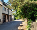 Bild: Bauhof Neustadt/WN/exb
Nicht zurückgeschnittene Bäume und Sträucher im Stadtgebiet ragen auf Straßen, Gehwege und Nachbargrundstücke.
