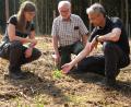 Bild: Hirsch
Forstoberrätin Regina Härtl, Waldbetreuer Michael Graf und Förster Reinhold Weigert (von links) erklären die Maßnahmen zum Waldumbau. Auf einer gerodeten Fläche im Wald der Kirchenstiftung Neukirchen wachsen Nordmanntannen heran.