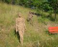 Bild: pop
Eigenartige Wanderer sind auf dem Weg des Naturkunstpfads zu sehen.