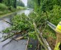 Bild: Kreisbrandinspektion Cham
Auf der Rötzer Straße bei Katzbach ist ein Ast auf die Straße gefallen.