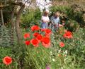 Bild: ubb
Lucia Heindl, Vorsitzende des Obst- und Gartenbauvereins Erbendorf, lässt sich von Johann Mautner durch seinen prächtigen Garten führen. Am Sonntag dürfen sich dort alle Bürger umsehen.