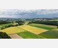 Bild: nza
Auf dieser landwirtschaftlichen Fläche bei Stockau soll ein Solarpark entstehen. Im Hintergrund ist Krummennaab erkennbar.