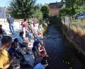 Archivbild: wrm
Gespannt verfolgen Kinder und Erwachsene die Entchen im Stadtbach. Das Bild stammt vom "Fest" 2022.