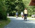Bild: lue
Wer momentan mit dem Fahrrad im Waldnaabtal zwischen Falkenberg und Windischeschenbach unterwegs ist, muss wegen des Schotters entlang der Wege aufpassen. Einige Besucher ärgert das.