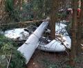 Archivbild: Roland Wellenhoefer
Mitten im Wald, zwischen Wondreb und Ottengrün, war der Motorsegler von Andreas Roß abgestürzt. Das einmotorige Flugzeug war komplett zerstört. Der Hobbypilot hatte sich mit seinem Fallschirm retten können.