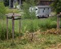 Bild: jr
Zwei Bäume, die das Landratsamt Tirschenreuth 2019 beim Bauhof Leonberg pflanzen ließ, sind abgehakt worden. Der oder die Täter mussten zuvor über hohes Gras, damit sie überhaupt an die Bäume gekommen sind. Das Gras wurde vorm Pressetermin entfernt.