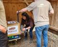 Bild: Johannes Bradtka
Ganz vorsichtig: Michaela Domeyer holt einen Kauz aus der Transportbox, in der das Tier vergangene Woche aus Berlin in die Oberpfalz gekommen war.