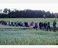Bild: fdl
Die Strecke führt die Pilger aus Hirschau und Ehenfeld bei idealem Wallfahrtswetter durch eine herrliche Feld- und Waldlandschaft.