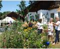 Bild: Hirsch
Christa Steiner (Zweite von rechts) führte die Besucher beim Tag der offenen Gartentür durch ihren Nutzgarten in Bruck.