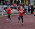 Bild: kro
Sprintrennen beim 2. Kinderleichtathletik-Wettkampf des Kreises Oberpfalz-Nord im Wiesauer Sportzentrum.