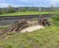 Bild: DB AG/exb
Die Deutsche Bahn hat Lebensräume für Zauneidechsen bei Pechbrunn geschaffen. Dorthin sollen demnächst Tiere umgesiedelt werden.