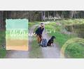 Bild: Alwin Götz / Grafik: Redaktion Magazine
LEO-Autorin Evi war mit ihrem Hund Jack auf Weltreise in der Oberpfalz.