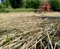 Bild: Gabi Schönberger
Zum Heuwenden und -einbringen ist eine lange Trockenperiode hilfreich, ansonsten stellen 35 Tage ohne Niederschlag Landwirte und Natur vor große Probleme.