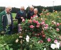 Bild: no
Hans Sperber (links) stellt Mitgliedern des Gartenbauvereins Illschwang die Rosenpracht in seinem Garten vor.