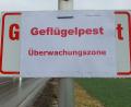 Archivbild: Hösamer
Die Warnschilder können abmontiert werden: Die Überwachungszone wegen der Gefahr der Geflügelpest im südlichen Landkreis Schwandorf ist aufgehoben.