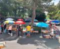 Bild: Kathrin Meißner/exb
Hunderte von Büchern waren für den Bücherflohmarkt am Vorplatz der St. Peter Buchhandlung in Tirschenreuth gespendet worden.