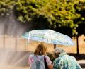 Bild: Rolf Vennenbernd/dpa
Ein „Heißer Tag“ hat Experten zufolge 30 Grad Celsius Lufttemperatur und mehr.