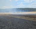 Bild: Kreisbrandinspektion Amberg-Sulzbach/exb
Auf einem Getreidefeld in Hiltersdorf kreisten die Feuerwehrkräfte am Sonntag die Brandfläche ein.