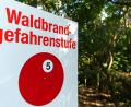 Archivbild: Monika Skolimowska/ZB/dpa
Die Waldbrandgefahr in der Region steigt in den kommenden Tagen.