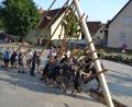 Bild: kki
Rund 40 Männer wuchteten mit Muskelkraft den Baum in eineinhalb Stunden in die Höhe.