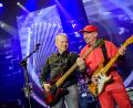 Archivbild: Matthias Balk/dpa
Sänger und Bassist Günther Sigl (links) und Gitarrist Barny Murphy 2017 im Rahmen des Jubiläumskonzerts der Spider Murphy Gang in der Olympiahalle in München.
