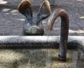 Bild: Stephan Huber
Der Schweinchenbrunnen am Viehmarkt in Amberg. Aus ihm läuft bestes Trinkwasser.