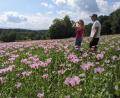 Bild: eib
Katrin und Sebastian, beide studierte Landwirte, gehen durch ihr blühendes Mohnfeld. Mit der Ernte beliefern sie Bäcker in Weiding und im Landkreis Cham.