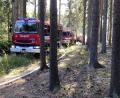 Bild: Feuerwehr Waldsassen/exb
Im Waldstück zwischen Grenzübergang und Asia-Markt geriet am Donnerstagnachmittag ein Waldstück in Brand. Einsatzkräfte der Feuerwehr Waldsassen rückten zur Unterstützung bei der Bekämpfung der Flammen mit aus.