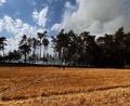 Archivbild: Kreisbrandinspektion Landkreis Schwandorf/exb
Der größte Einsatz bisher war der Wald- und Feldbrand bei Nittenau.