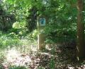 Bild: rha
Ganz versteckt steht das restaurierte Wosa-Marterl in einem Gebüsch bei Ebersbach.