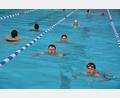 Bild: jr
Insgesamt 720 Teilnehmer kamen zum 24-Stunden-Schwimmen ins Egrensisbad in Waldsassen.