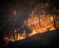 Bild: Argiris Mantikos/XinHua/dpa
Ein massiver Waldbrand tobt auf der griechischen Insel Rhodos.