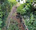 Bild: phs
Der ausgetrocknete Rehmühlbach im Bereich der Prößlstraße.