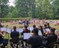 Bild: mab
"Musikalisches Picknick im Schlosspark" lockte zahlreiche Besucher und Zuhörer mit ihren Decken und Klappstühlen auf die Halbinsel an der Naab.