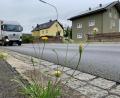 Bild: Gabi Schönberger
Mehr Lärm wegen des umgeleiteten Lkw-Verkehrs: Das spüren auch die Anwohner.
