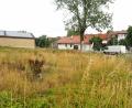 Bild: kek
Für dieser Brache, mitten in Hagenohe gelegen, gibt es im Rahmen einer einfachen Dorferneuerung ein Planungskonzept für einen Dorfplatz. Einem Teil der Auerbacher Stadträte aber sind die Kosten dafür zu hoch.