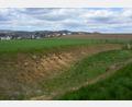 Archivbild: jr
Das Flurneuordnungsverfahren ist weiterhin Thema im Konnersreuther Gemeinderat. Für das weitere Vorgehen sind Gespräche mit Landwirten geplant. Im Bild der bereits bestehende Rückhaltebereich in der Nähe des Konnsbergs, der weiter ertüchtigt werden soll.