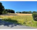 Bild: VG Neusorg/exb
Hier soll das neue Baugebiet in Pullenreuth entstehen.
