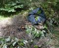 Bild: bö
Gleich hinter Mendorferbuch, auf Höhe der Abzweigung nach Lohe, findet man diese illegale Abfalldeponie. Obenauf sitzt ein prall gefüllter Gartenabfallsack.