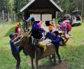 Bild: gz
Beim Ferienprogramm in Eslarn wird auch der Wald erkundet. Die Kinder beschäftigten sich an den Spielgeräten und am Tisch mit Malen.