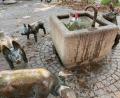 Bild: Petra Hartl
Aus dem Schweinchenbrunnen am Viehmarkt kommt Trinkwasser.