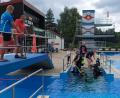 Bild: Doris Czerwik/exb
Unter fachkundiger Anleitung von Mitgliedern des TC Nautilus konnten Mädchen und Buben im Freibad Mitterteich das Tauchen mit Ausrüstung ausprobieren.