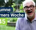 Bild: Christian Gold
Frank Werner kommentiert die Themen der Woche.