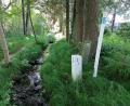 Bild: Thomas Schaller
Einer der schönsten Streckenabschnitte des gesamten Nurtschwegs ist der Pfad an der bayerisch-tschechischen Grenze am kleinen Zottbach entlang. Eindrücke von der 5. Etappe auf dem Nurtschweg.