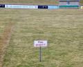 Symbolbild: Ziegler
In der Bayernliga war der Platz des ATSV Erlangen nach einer Reparatur an den Drainagen unbespielbar.