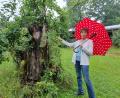 Bild: Sonja Kaute
Martina Roder-Weiß zeigt der LBV-Jury einen abgestorbenen Baumstamm in ihrem Garten, dessen Totholz ein wertvoller Lebensraum für Insekten ist. Entsprechend hatten sich hier schon Hornissen angesiedelt.